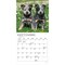 Plato; Chiots | 2027 7 x 14 Inch (Hanging) Monthly Mini Wall Calendar | French Language; Category:Wall Calendars; Image:5